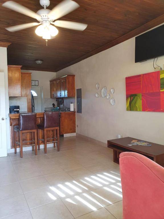 Fishtails Palms - Tamarind