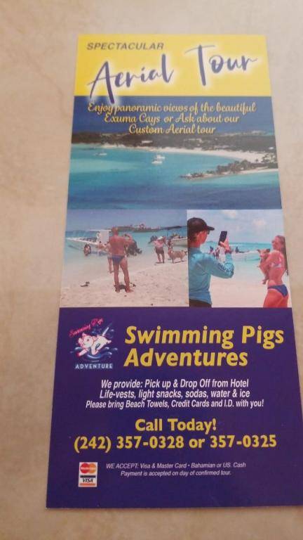 Fishtails Palms - Tamarind