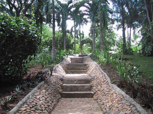 Sweet Songs Jungle Lodge