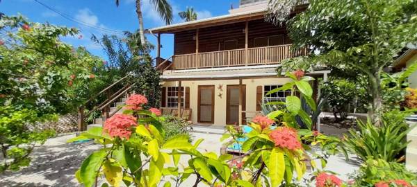 Amanda's Studios - pool and tropical garden