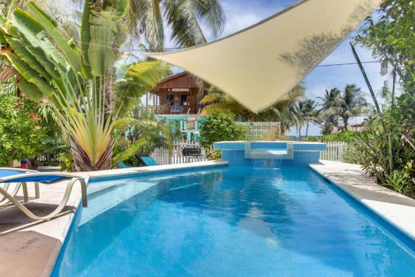 Amanda's Studios - pool and tropical garden