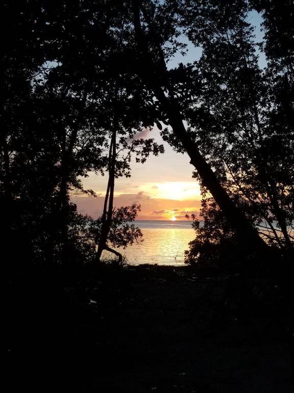 Chapito's 6 Clashing Winds