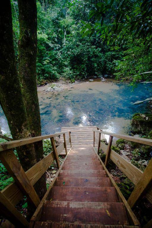 Jaguar Creek