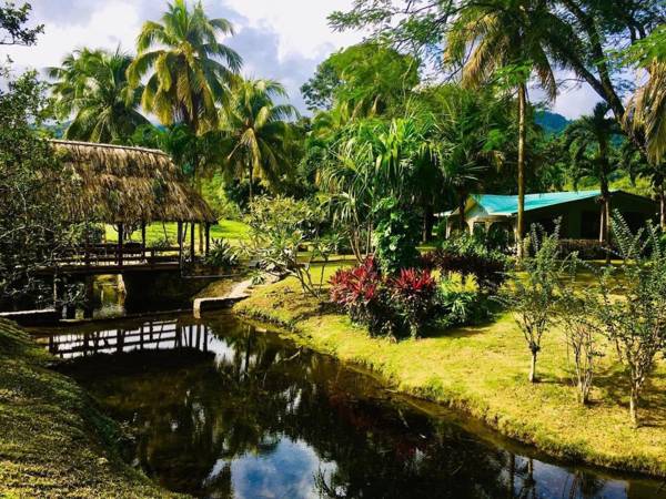 CHARMING JUNGLE HOME ON PRIVATE ORANGE ORCHARD