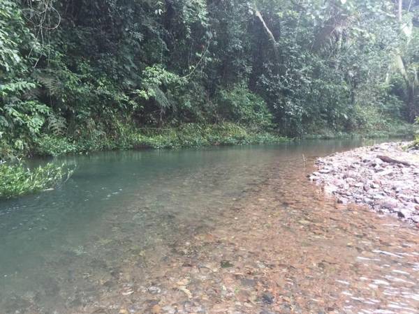 CHARMING JUNGLE HOME ON PRIVATE ORANGE ORCHARD