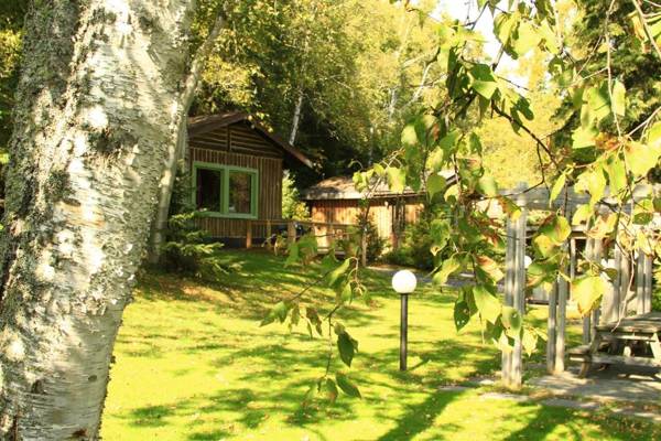 High Falls Motel & Cabins