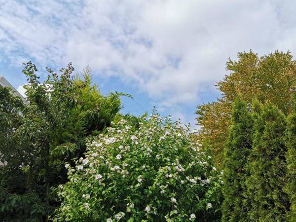 Vancouver West Cozy Retreat by Elevate Rooms