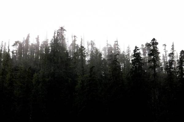 Pluvio restaurant and rooms