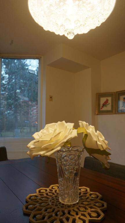 Margie Townhome Suites