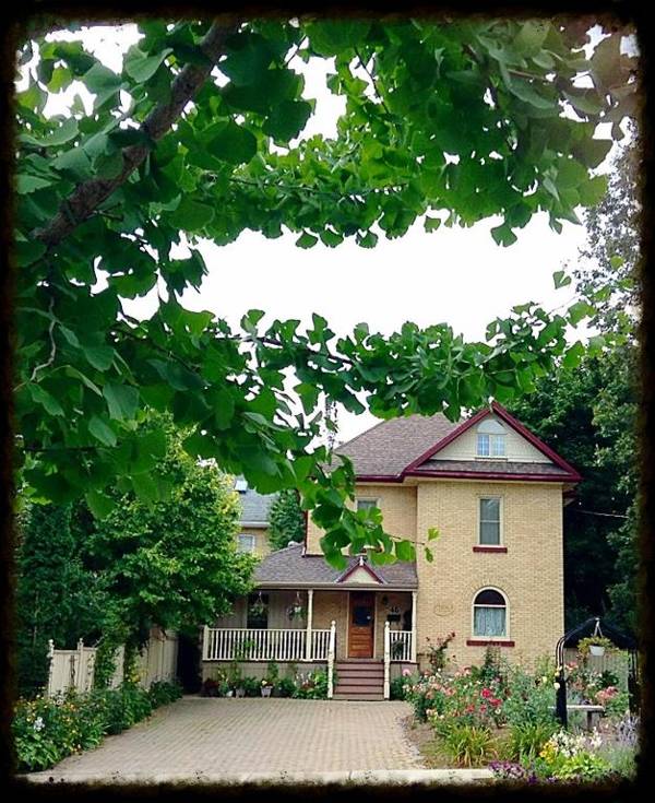 Arbour Garden B&B