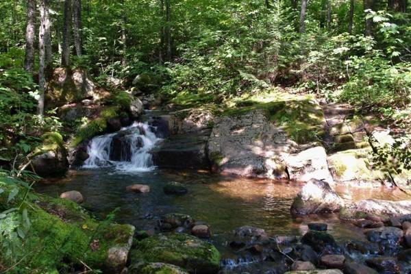 Chalets Alpins -13 Chemin des Skieurs