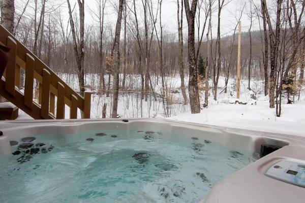 Chalets Alpins -11 Chemin des Montagnards