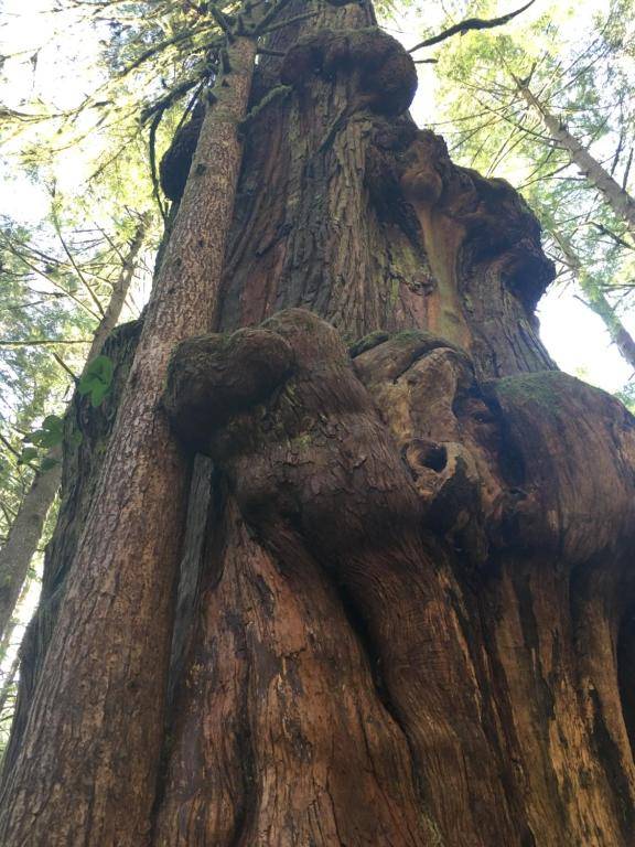 The Great Escape - PR