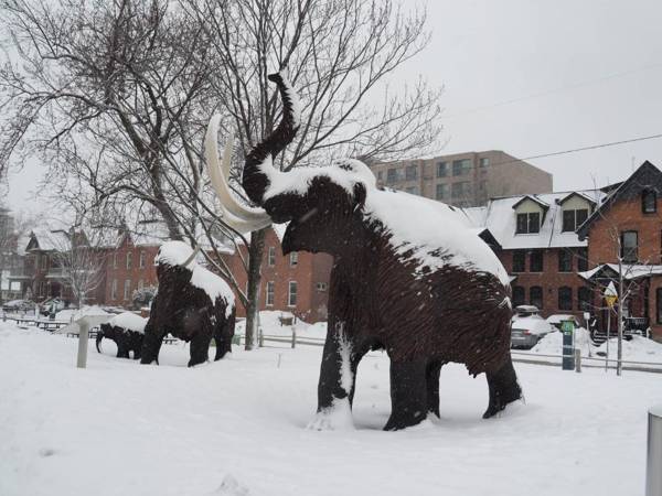 Downtown Bed and Breakfast