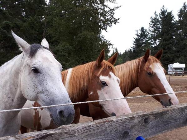 Paradise Acres Ranch