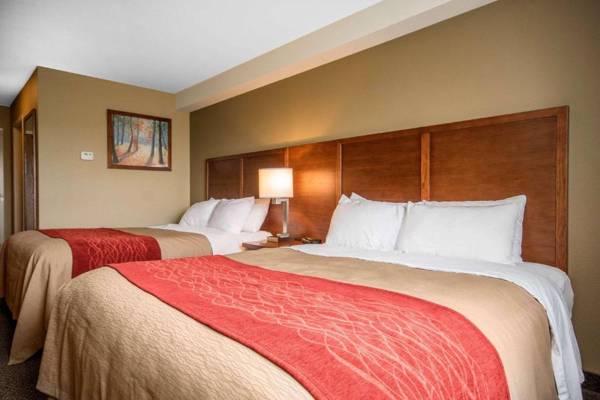 Comfort Inn & Suites Langley