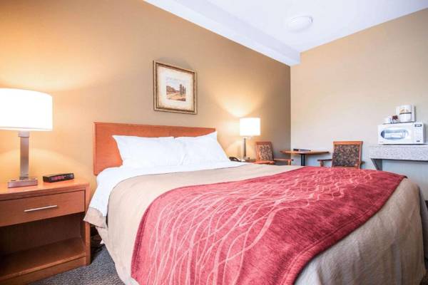 Comfort Inn & Suites Langley