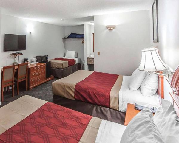 Econo Lodge Inn & Suites Drumheller