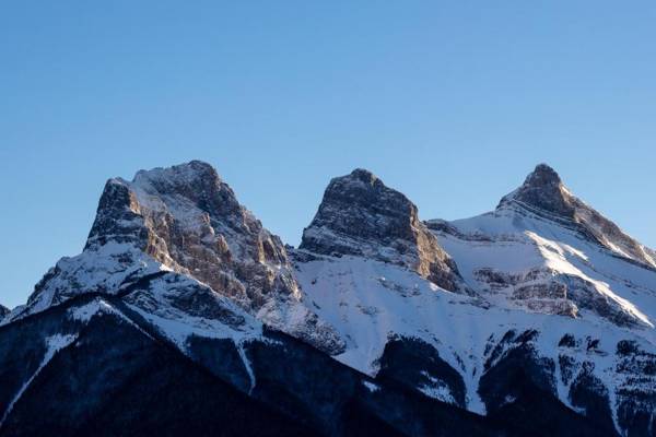A Bear and Bison Country Inn