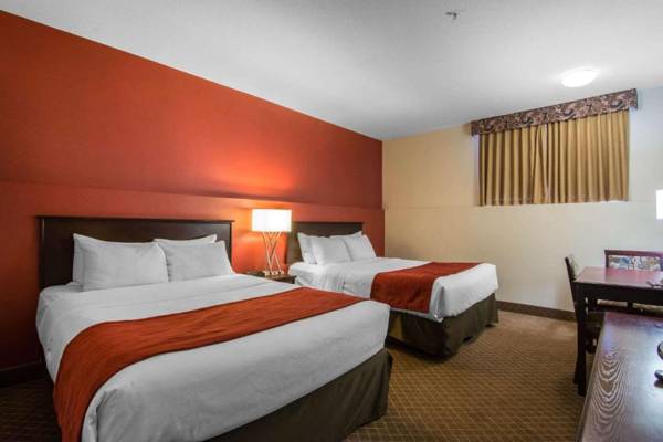 Comfort Inn & Suites Airport South