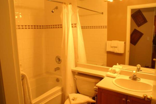 Whistler Superior Properties