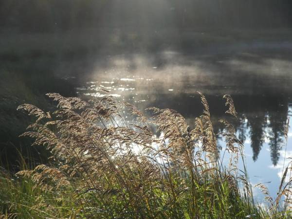 Schott's Lake Conference & Resort