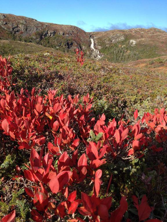 St Christopher's Hotel