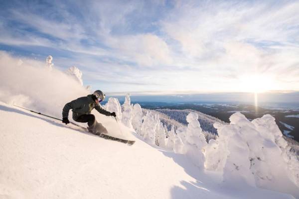 CRYSTAL FOREST 2BR Ski In Ski Out with PRIVATE Hot Tub