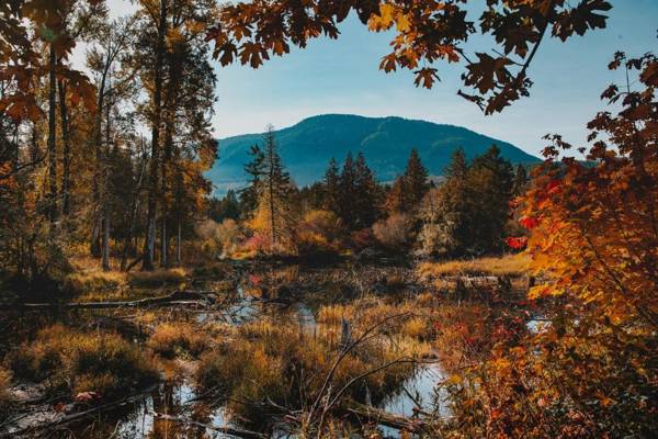 Cowichan River Lodge