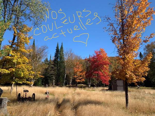 Lodge Nature Laurentides