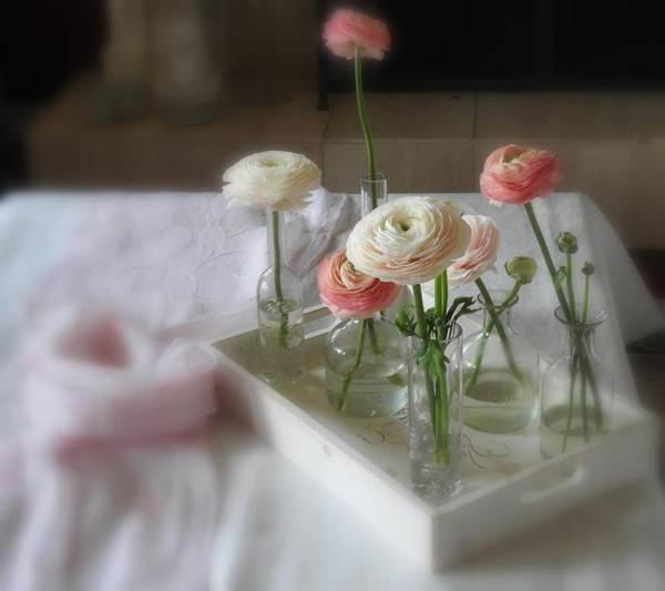 The Empty Nest B & B