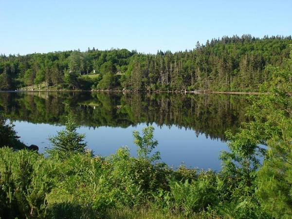 Lonely Rock Seaside Bungalows