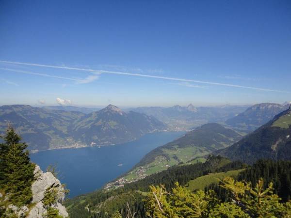 Hotel Vitznauerhof - Lifestyle Hideaway at Lake Lucerne