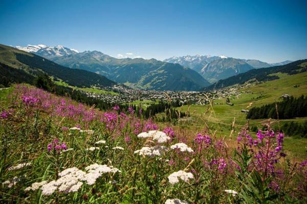 W Verbier