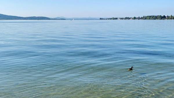 FeWo Bodenseewest