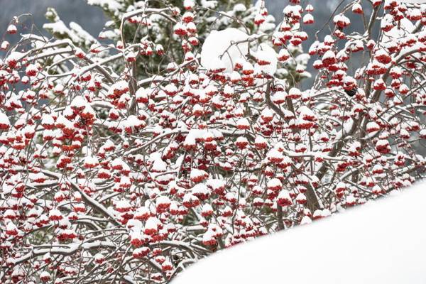 Chasa Serras - Döpper