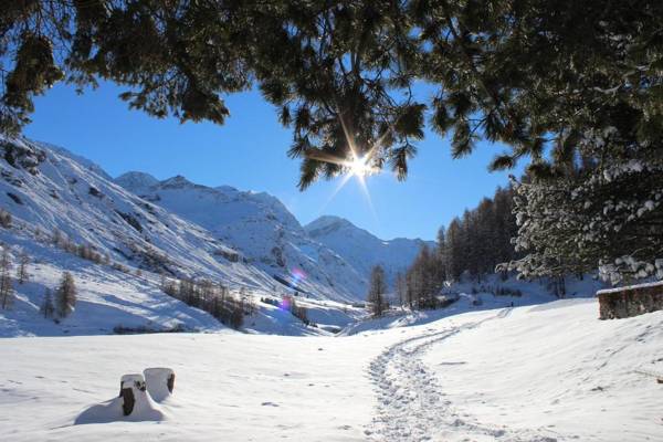 Hotel Sonne Fex Alpine Hideaway