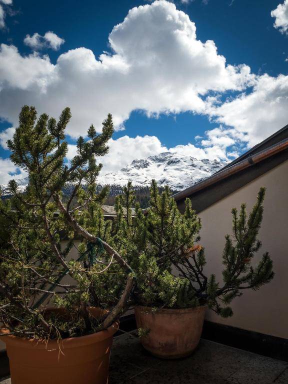 Chesa Pradash 2 - Celerina