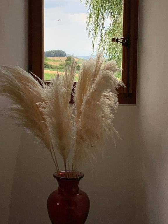 Le château de Vuissens