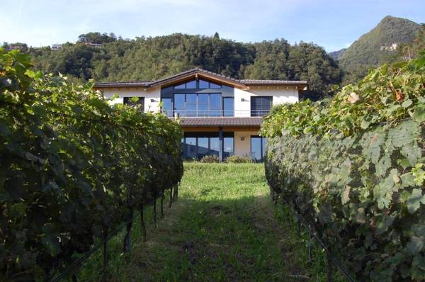 B&B Il Vigneto