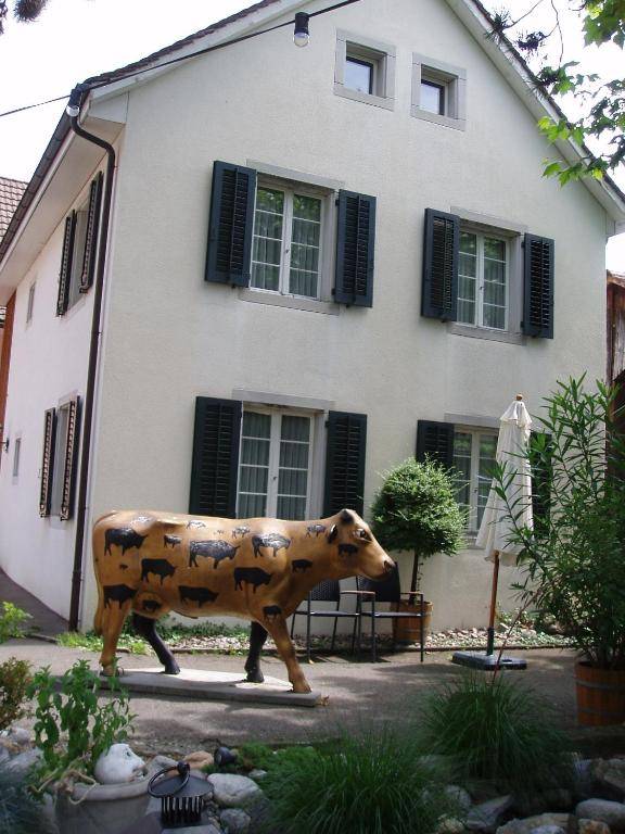Studio-Apartments by Ochsen Lenzburg