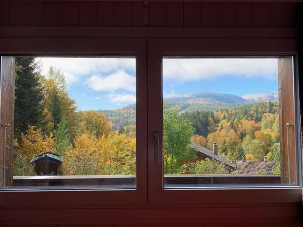 Chalet OTT - apartment in the mountains with sauna