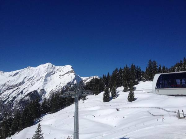 Appartment Chalet Sonnenheim