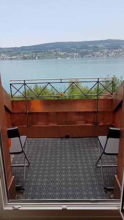 Roomy Suite in Horgen near lake and skiresorts