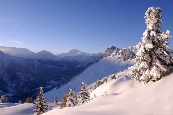 Chalet Castellani Apartment