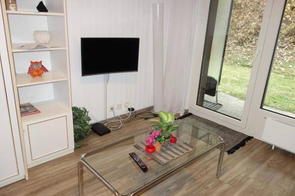 Remointze COSY & CENTER apartments by Alpvision Résidences