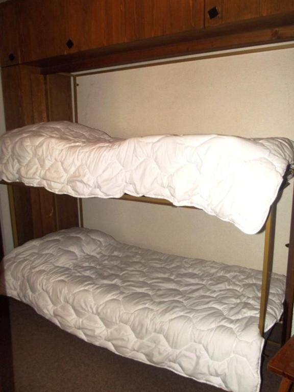 Remointze COSY & CENTER apartments by Alpvision Résidences