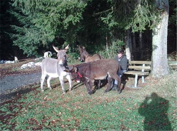 Bed and Breakfast Huobschür