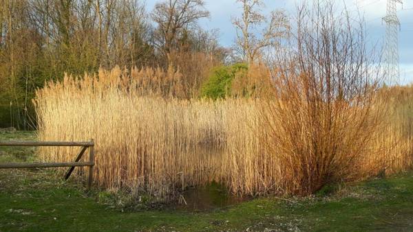 MyBednBreakfast in Bottmingen