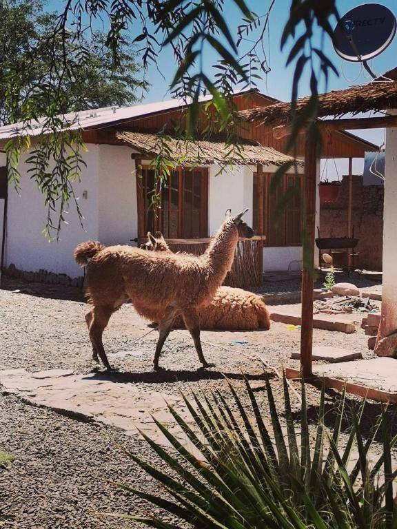 Cabañas Voyage Atacama